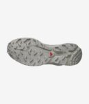 XT-6 - Gris fantôme / Flanelle grise